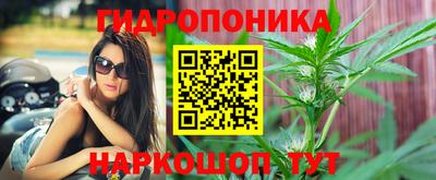 тгк Краснодар
